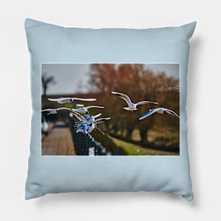 Sitting on the fence Pillow