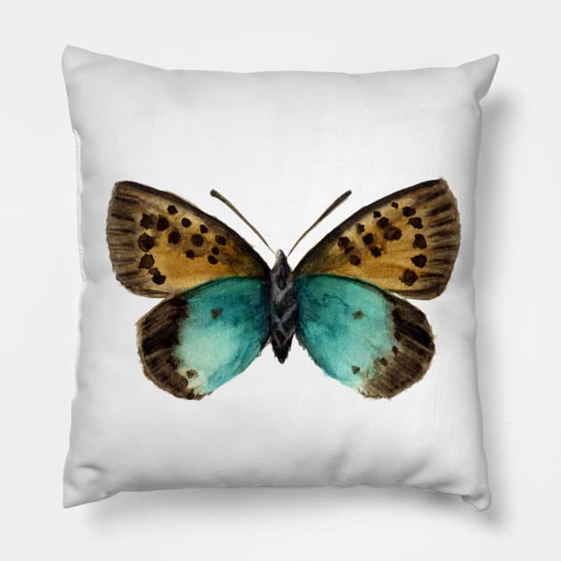 Tomares ballus Pillow by SaraFuentesArt