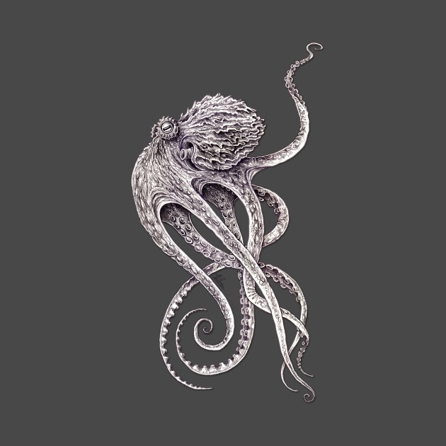 Cephalopod by TAOJB