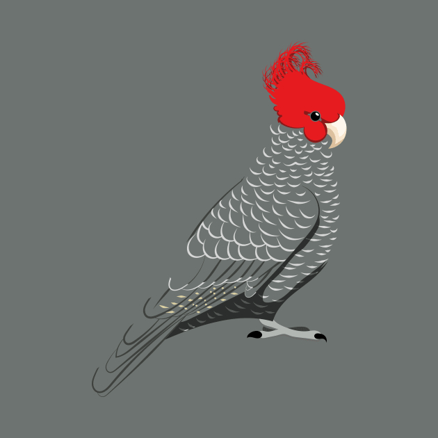 Gang gang cockatoo by Zolinstudio