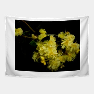 Rainy Wattle Tapestry