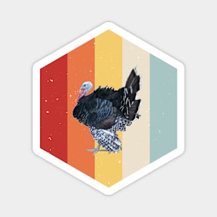 Retro Vintage Turkey Thanksgiving Magnet