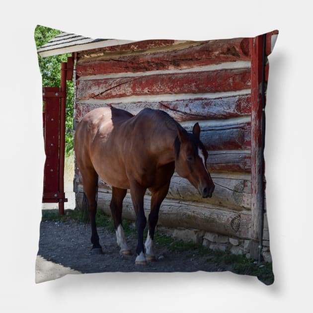 Horse in the shade Pillow by CanadianWild418