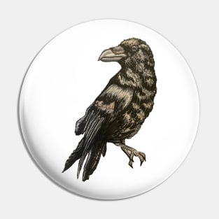 The Raven Pin