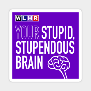 Your Stupid, Supendous Brain Magnet