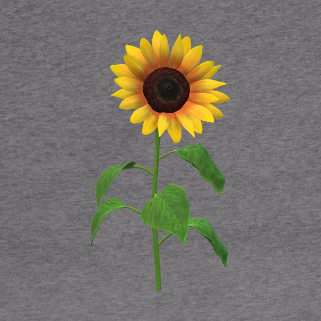 I Love Sunflower Sunflower Lover Gift Hoodie Teepublic Au