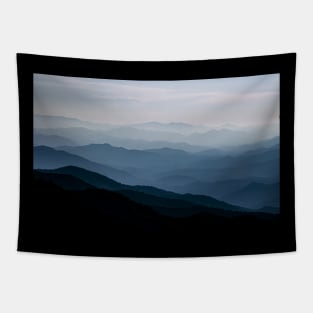 Blue Ridge Mountains #1 Tapestry