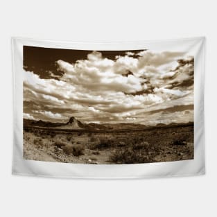 Arizona Landscape Tapestry