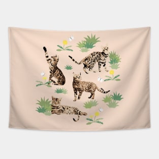 Bengal Cats Playing Tapestry