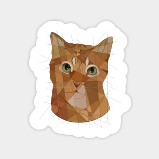 Orange Tabby Magnet