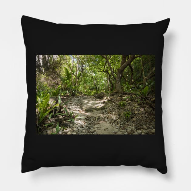 Niue walking track. Pillow by sma1050