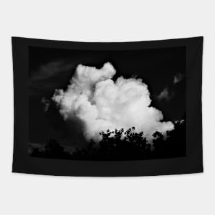 Black and White Storm Cloud Tapestry