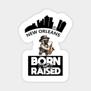 Jazz Pug New Orleans Born And Raised Magnet