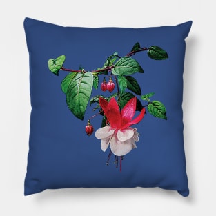 Fuschia - Pink and White Fuschia Pillow