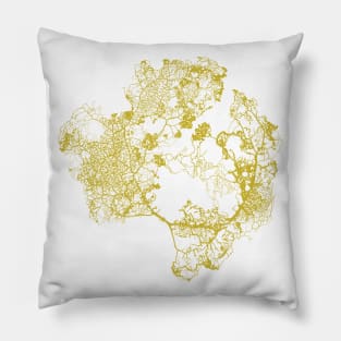 Physarum Polycephalum IV Pillow