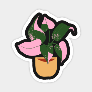 Philodendron Pink Princess Plant Magnet