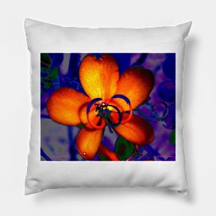 Mandarin Petals Pillow