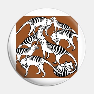 Tasmanian Tiger ....Extinct? Pin