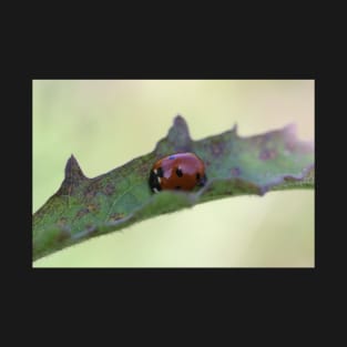 Ladybird Lane T-Shirt