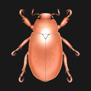 Copper Beetle T-Shirt