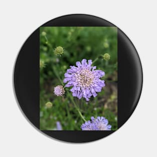 Purple Wispy Flower Photographic Image Pin