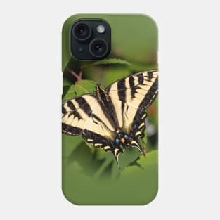 Beautiful Western Tiger Swallowtail Butterfly in the Backyard Phone Case