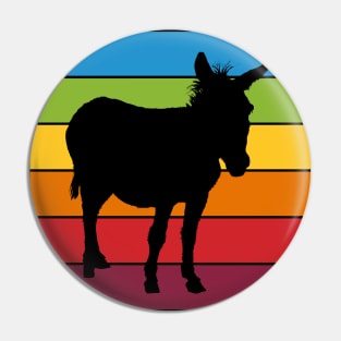 Rainbow Donkey Pin