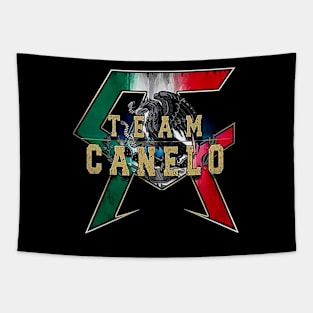 Canelo Alvarez boxing 4 Tapestry