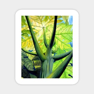 Papaya Tree Magnet