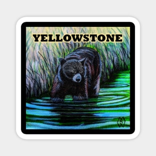 Yellowstone Bear Magnet