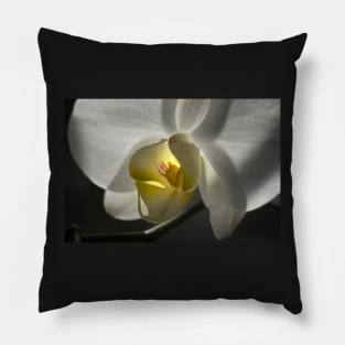 White Orchid Pillow