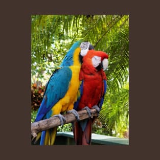 Love Birds Pair of Macaws Cuddling T-Shirt