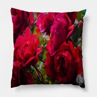 Red roses - Flowers Pillow