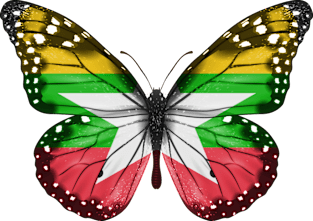 Burmese Flag  Butterfly - Gift for Burmese From Myanmar Magnet