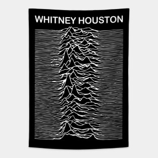 Whitney Unknown Pleasures Mashup Tapestry