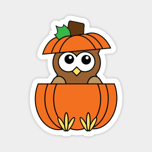 Cute Owl in Pumpkin with Feet Sticking Out Magnet
