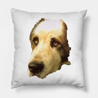 big sad dog Pillow