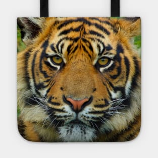 Tiger Face Mask Tote