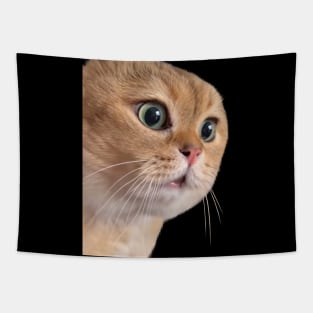 Cat boyfriend couple relationship meme Tapestry