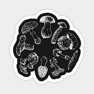 mushrooms Magnet