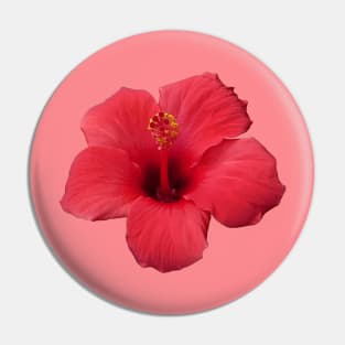 Stunning Red Hibiscus Tropical Flower Cut Out Pin