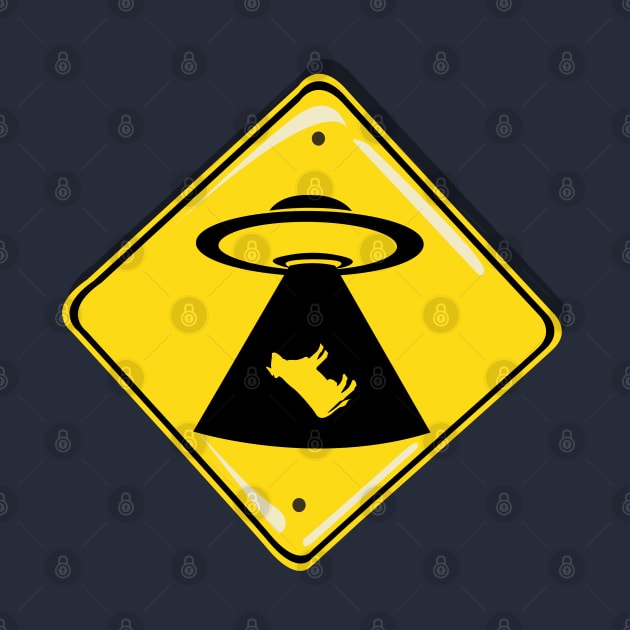 Cosmic Crossing: UFO Abduction Zone by Fun Funky Designs