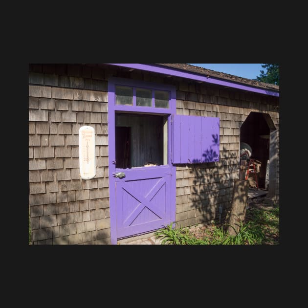 purple door by sma1050