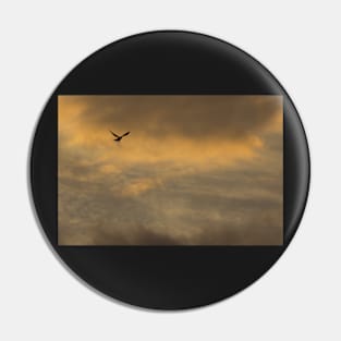 Fly by Night Pin