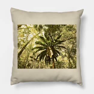 JUNGLE BIRD'S NEST FERN Pillow