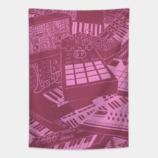 Synthesizers and electronic music instruments for musician Tapestry