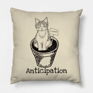 Cat in Anticipation of Catnip Pillow
