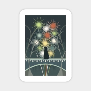 Fireworks Magnet