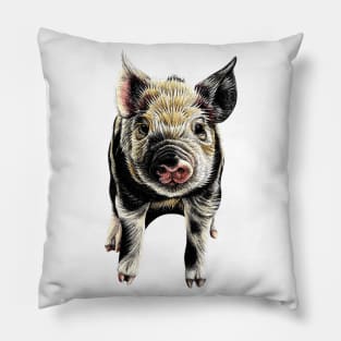 Piglet illustration Pillow