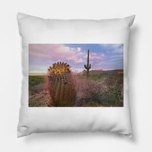 Saguaro And Giant Barrel Cactus With Panther And Safford Peaks In Distance Saguaro National Park Pillow